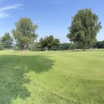 IMG_6037